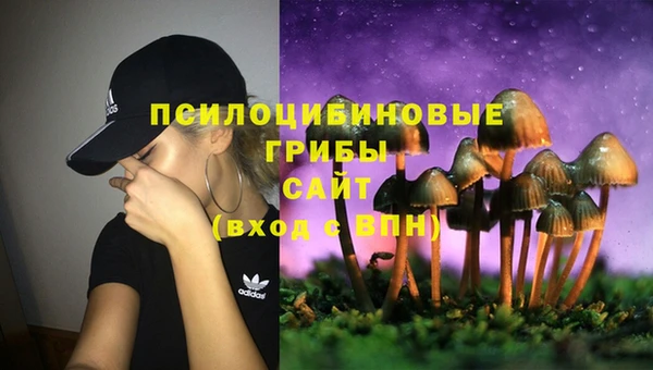 синтетический гашиш Абинск