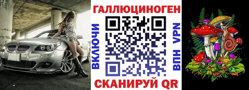 где купить   Тайга  гидра ССЫЛКА  Псилоцибиновые грибы мицелий 