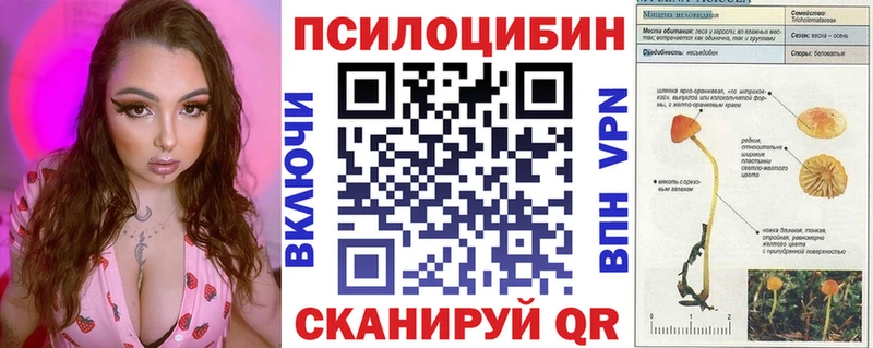 Псилоцибиновые грибы Psilocybine cubensis Тайга